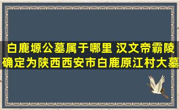 白鹿塬公墓属于哪里 汉文帝霸陵确定为陕西西安市白鹿原江村大墓
